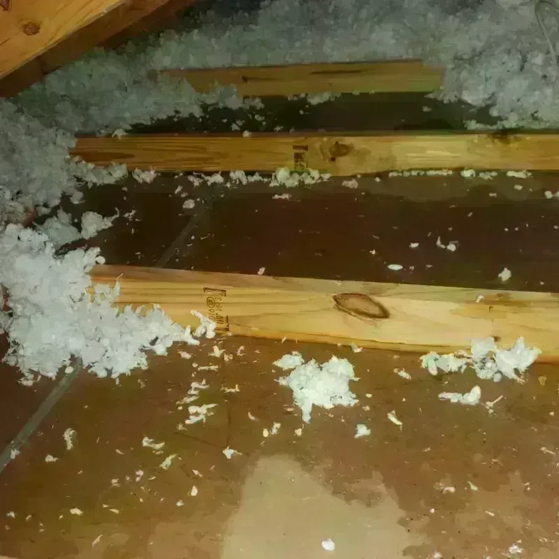 Attic Water Damage in Hamilton, AL