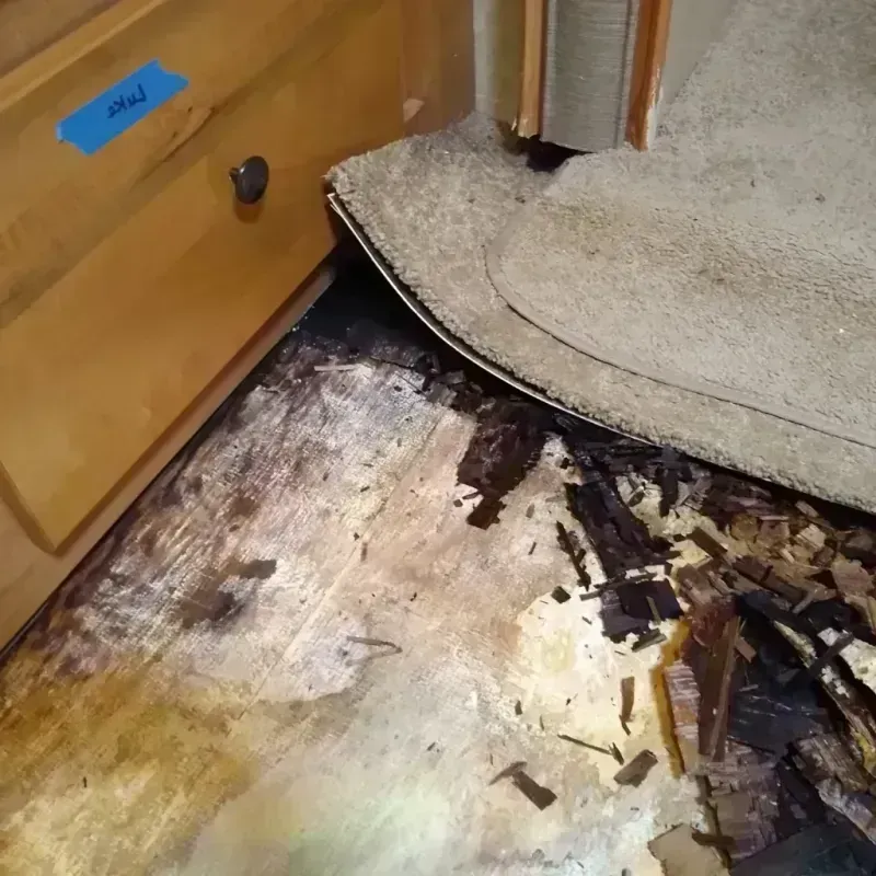 Wood Floor Water Damage in Hamilton, AL